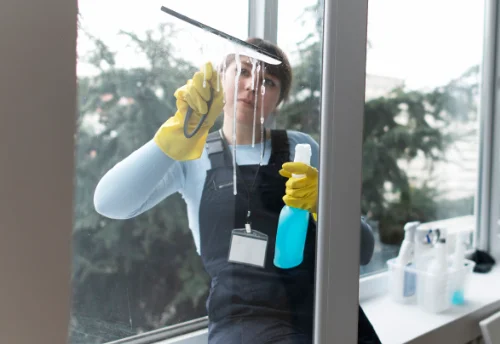 Nettoyage de vitres intérieures et extérieures à Tourailles